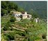 Large scale analysis of Ligurian terraced landscape